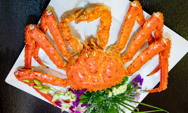 Ăn hải sản có đắt không? Cách ăn ngon mà vẫn hợp túi tiền