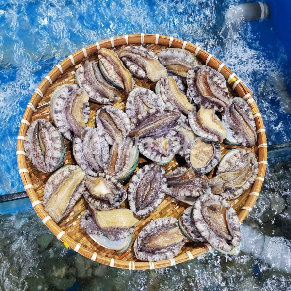 Bào ngư Hàn Quốc