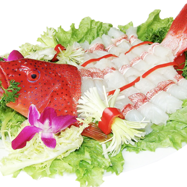 Cá mú đen/ Cá mú sao đỏ gỏi cá đặc biệt