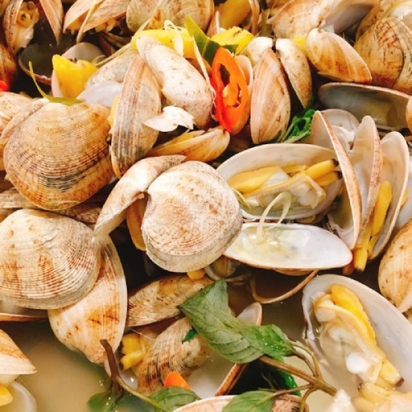 Ngao 2 còi hấp thái