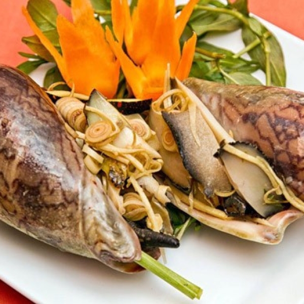 Ốc giác hấp xả