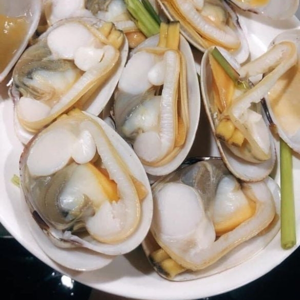 Ngao 2 còi hấp sả