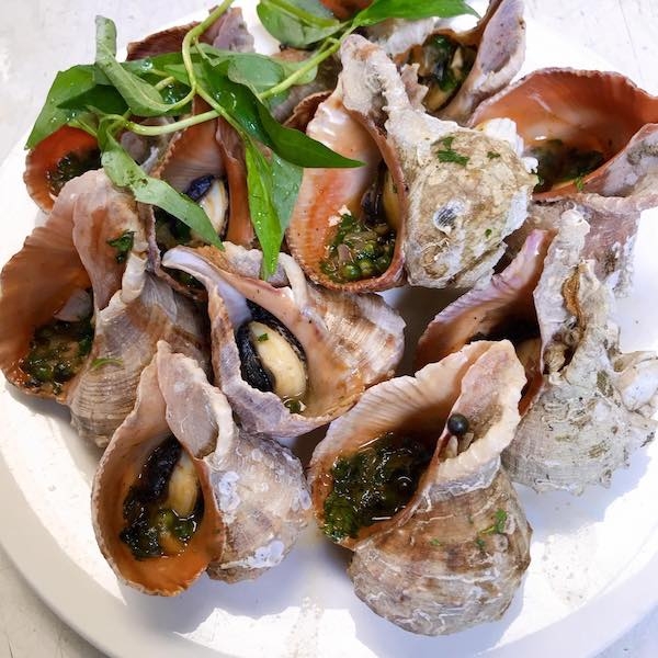 Ốc miệng rộng - Ốc banh nướng mắm nhĩ