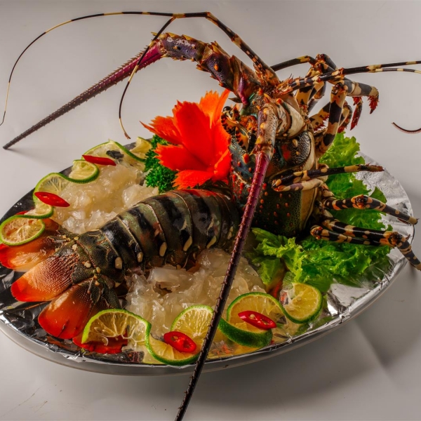 Tôm hùm sashimi