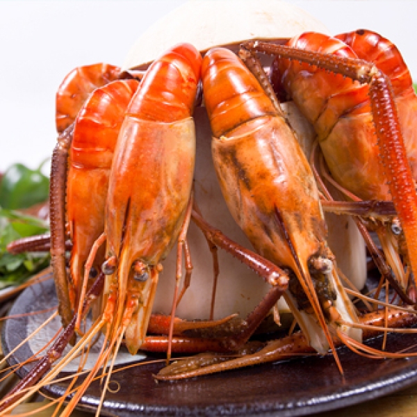 Tôm càng xanh hấp