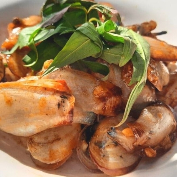 Tu hài trắng xào lá quế